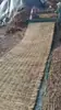 Invernadero de cortina de paja aislamiento cortina de paja engrosada carretera antideslizante alfombra de paja cortina de paja anticongelante decoración de techo de fardos de heno