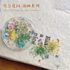 Arte de Uñas Flores Secas Estilo Ins Color Mixto Pintura al Óleo Dopamina Flores de Cinco Pétalos Florales Pequeños Naturales Gipsofila Decoraciones para Uñas
