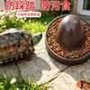 Tigela de Alimentação Anti-Esmagamento para Répteis Tartarugas, Tigela de Comida Anti-Sujeira para Lagartos Geckos, Tigela de Água Fácil de Limpar, Tigela de Alimentação e Água para Répteis