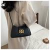 Bolso de Moda Bolso de Hombro Cruzado de Alta Gama para Mujer 2024 Primavera Nuevo Bolso de Axila Diseño Nicho Popular en Internet Bolso para Mujer