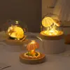 Adornos creativos de escritorio, conchas marinas, regalos de cumpleaños, decoraciones culturales y creativas, adornos pequeños luminosos de escritorio con cúpula de cristal al por mayor