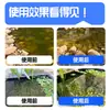 Estanque de Peces de Agua Verde Pecera Removedor de Algas Removedor de Musgo Artefacto Removedor de Algas Verdes Musgo Algas Verdes Algas Marrones Lenteja de Agua Red