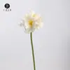 Venda Direta da Fábrica Flores Artificiais Lírio Clívia Galhos Decoração Adereços para Fotografia de Casamento Acessórios para Casa Design de Exibição