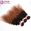 Tiras de Cabelo Humano em Gradiente Bicolor Europeu e Americano Transfronteiriço T1B/30 Cacheado Kinky