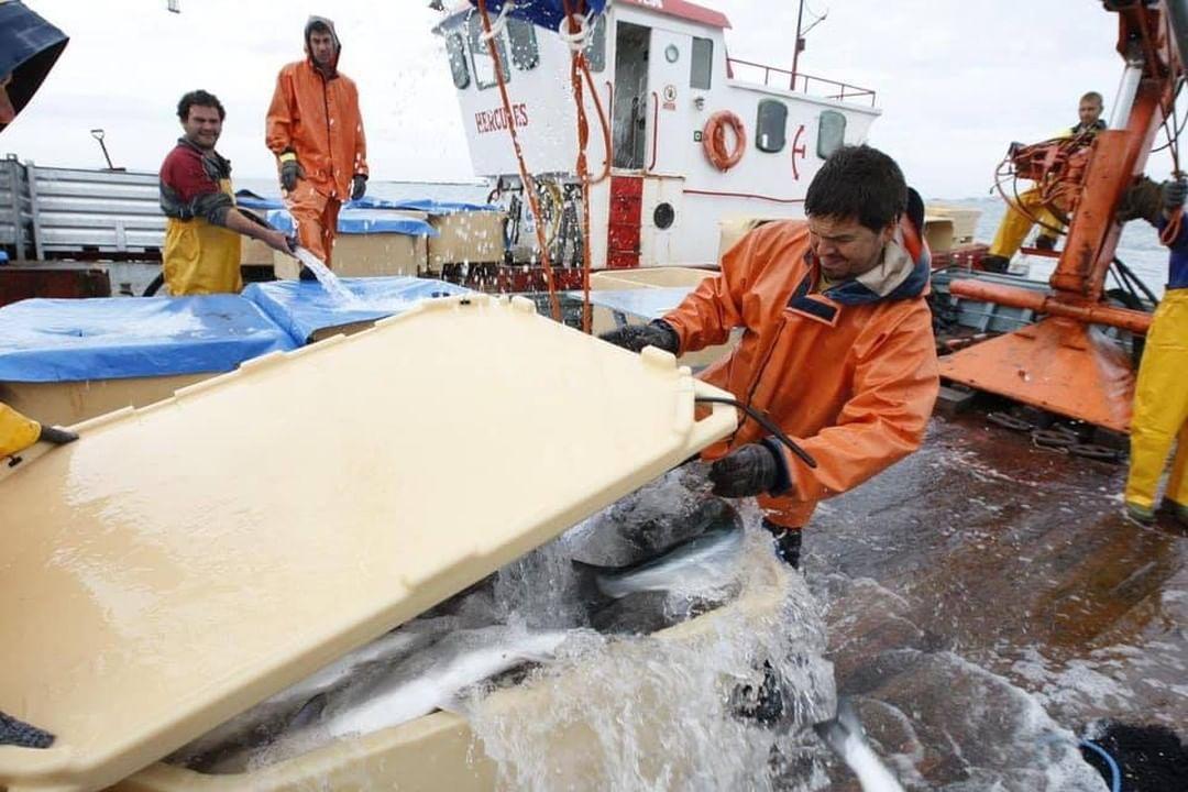 IMG_2964(20201010-112612)