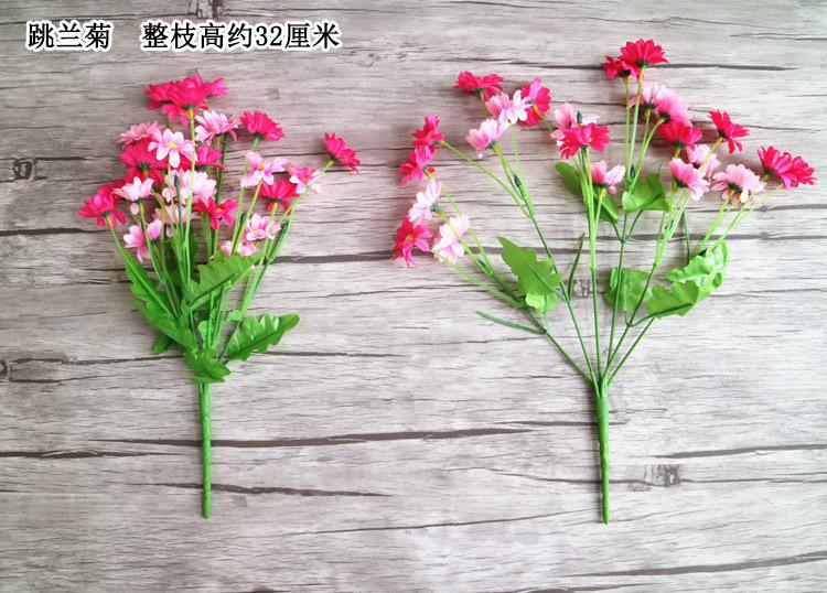 跳兰菊 规格 宋体.jpg