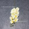 Lujo Ligero ins Flor Artificial de Alta Gama Felpa Piel de Durazno Phalaenopsis Flor Falsa Ceremonia de Boda Decoración para Sala de Estar en Casa