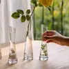 Jarrón de cristal de alto valor para interior, de caña alta, con una sola flor, jarrón de cristal especial para una sola flor, adorno de jarrón de cristal transparente