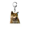 Chaveiro de acrílico, chaveiro de acrílico criativo, pegadinha para colegas de classe, pingente popular de emoji de Shiba Inu online, presente de Shiba Inu