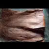 Roupas marrom casca de palmeira cabelo marrom roupas de palmeira fibra de palmeira fatias de palmeira decoração de casca de palmeira vara de pothos vara de coqueiro