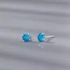Aretes de Zirconia con Diseño de Fuegos Artificiales de Plata Pura S999, Coloridos y Delicados, Adecuados para el Uso Diario, Suaves para los Oídos, Aretes Versátiles, Plata Pura 999 al por Mayor