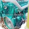 Ensamblaje de Motor Sinotruk de 540 Caballos de Potencia, Piezas Originales Man Alemanas, Piezas Originales Sinotruk 540