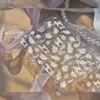 Pegatinas para Uñas con Brillo de Concha, Calcomanías Populares de Color Sólido para Uñas y Accesorios de Moño, Accesorios para Uñas Portátiles