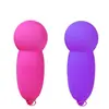 Huevo Vibrador Simple Vibratorio Princesa Sakura para Mujeres, Dispositivo Inalámbrico de Coqueteo y Masturbación, Juguetes Sexuales para Adultos, Venta al por Mayor desde el Fabricante