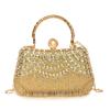 Bolsa de Mão Noturna para Celebridades Femininas 2025 Novo Estilo Bolsa com Corrente de Franjas Brilhantes com Vestido Bolsa para Banquete Bolsa de Ombro Único Transversal