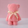 Toalla con Forma de Oso de Terciopelo de Coral Souvenir Inauguración Boda Regalo de Agradecimiento Toalla Facial Al Por Mayor Suministros para Eventos Festivos
