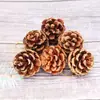 Piñas de color primario de 4 cm 6 decoraciones navideñas Colgante para árbol de Navidad Atrezzo para diseño de escenas con piñas naturales
