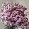 Grama de Cristal Flores Eternas Fabricante de Yunnan Atacado Copo de Vidro Materiais de Flores DIY Flores Flutuantes Materiais de Aromaterapia Transmissão ao Vivo Sala de Casamento