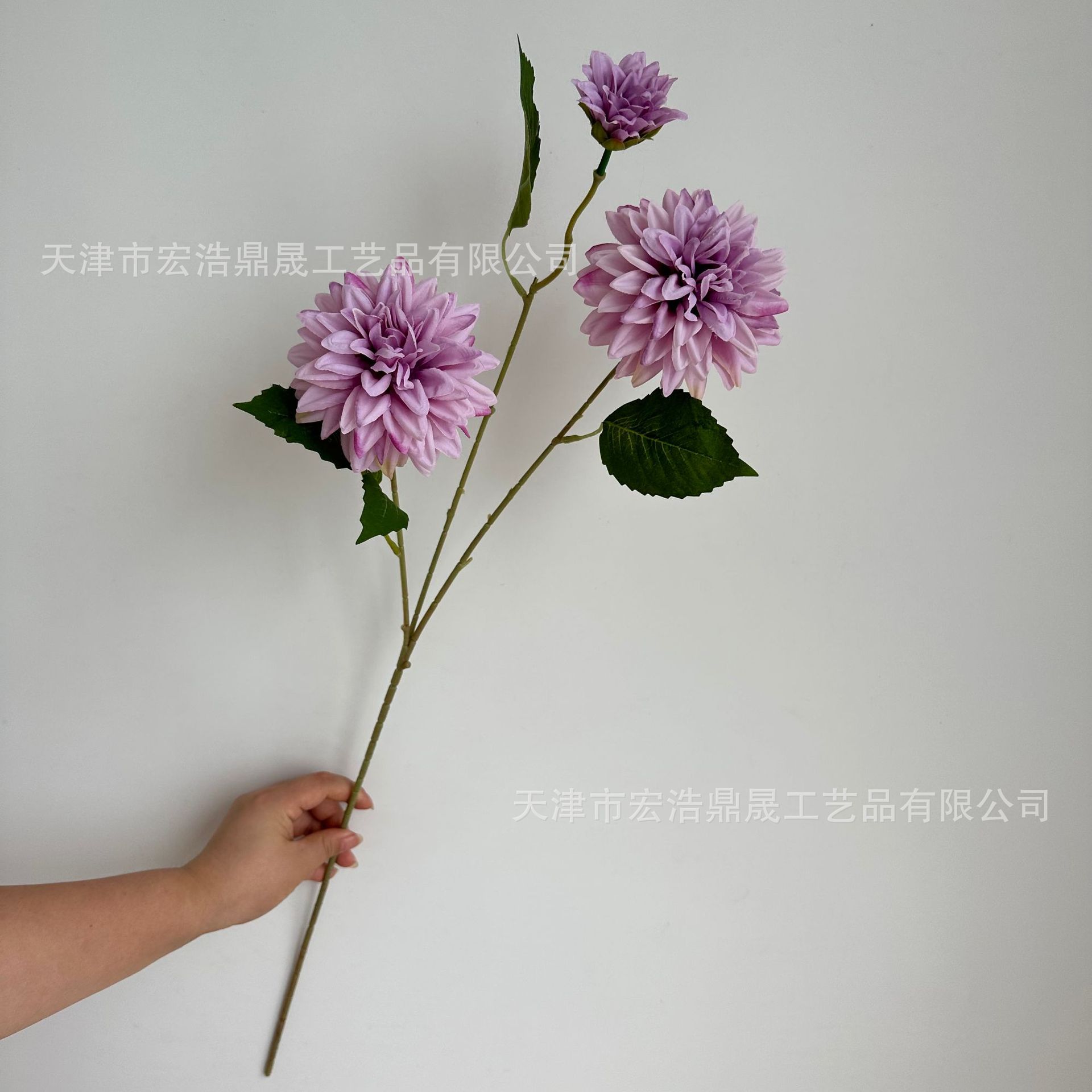 85b2b633e9e3af922bb35f18bdd903