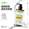 Champú Refrescante Especial Anticaída del Cabello, Fragante, Anticaspa, Antipurito, Promotor del Crecimiento del Cabello, Champú Anticaída, Control de Grasa, Al Por Mayor en Stock