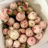 Flores Frescas de Rosas Multi-Cabeça no Atacado, Entrega Direta da Base de Yunnan, Rosas Bolha, Flores para Casamento, Fornecimento de Flores para Decoração de Casamento