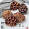 Pinha Chips de Madeira Bolota Materiais Secos Foto Frame de Planta DIY Artesanal Pacote de Material de Flor Seca Decoração de Exibição