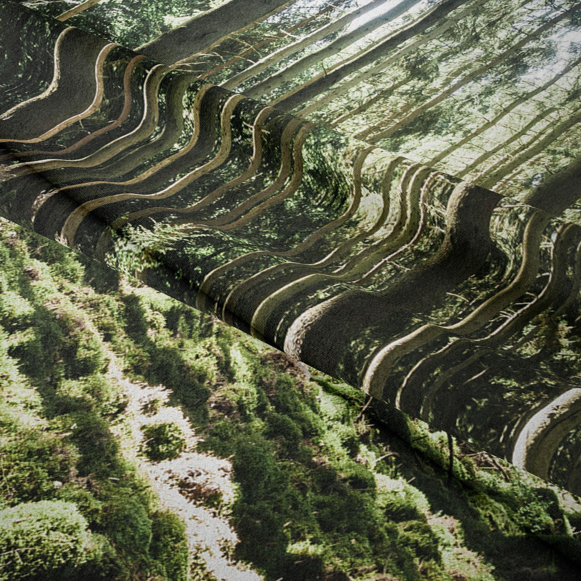 挂毯细节3.jpg