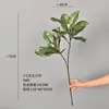 Planta verde artificial com toque realista, folhas de magnólia para decoração de casa, flores artificiais para decoração de casamento, decoração suave, vitrine, adereços de fotografia
