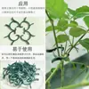Clips para Plantas, Clips para Enredaderas, Clips de Jardinería, Clips de Mariposa, Clips de Sujeción para Plantas, Clips de Fijación para Enredaderas, Sujetadores