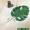 Balão Folhas Decorativas Ouro e Prata verde escuro Folha de Tartaruga Girassol Árvore Folhas de Coqueiro Folhas de Canna Brasileira