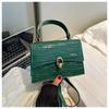 Bolsa Pequena com Fivela Quadrada 2023 Outono Estilo Ocidental Nova Moda Estilo Coreano Estampa de Pedra Bolsa de Ombro Cor Sólida Simples Bolsa Transversal para Mulheres