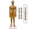 Folha de Cobre para Acupuntura Uso Doméstico Medicina Tradicional Chinesa Silicone Modelo de Diagrama de Meridianos do Corpo Humano com Pontos de Acupuntura