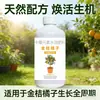 Solución Nutritiva Especializada para Árboles de Kumquat y Naranja, Fertilizante Líquido de Interior para Árboles Frutales en Maceta, Fertilizante Orgánico para Jardinería Casera