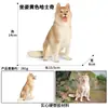 Modelos de Animales Realistas: Doberman, Golden Retriever, Perro de Peluche, Husky, Collie - Adornos para Coche y Juguetes para Niños