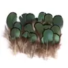80 Tipos de Penas Naturais de Faisão, Penas Reais, Decorações Nativas Americanas, Acessórios DIY, Acessórios de Cabelo, Peças para Brinquedo de Vara para Gato