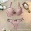 Comércio Exterior Transfronteiriço Conjunto de Renda para Lingerie Feminina Europeu e Americano Sexy Renda Senhoras Lingerie Sutiã Push-up Conjunto de Lingerie