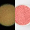 Cuentas de Burbuja Luminosas Esmeriladas Cuentas de Vidrio Luminosas No Porosas Hechas a Mano DIY Accesorios para el Cabello Joyería para Teléfono Móvil Manicura Cuentas de Burbuja