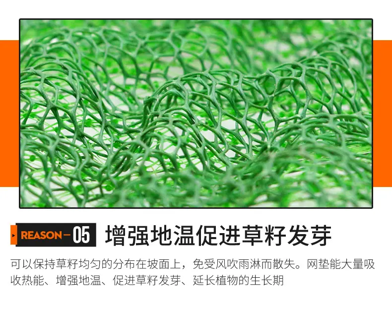 三维植被网_07.jpg
