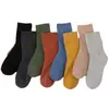 Meias Grossas com Forro de Lã Femininas de Inverno Meio da Panturrilha Meias de Terry Coloridas Meias à Prova de Odor Terry Quente para Inverno Feminino