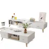 Mueble de TV Combinación Armario de Pared Armario de Piso Mesa de TV Sencilla Apartamento Pequeño Modelo Alto Sencillo Armario de TV para Dormitorio Venta al por Mayor