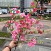Nueva decoración de boda artificial estilo jardín azul siete Li Xiang mil Li Xiang cien Li Xiang azul púrpura flor artificial al por mayor