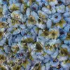 Um Botões de Chá Artificiais de 4cm, Flores Artificiais, Acessórios para Caixa de Presente de Doces Estilo Floresta, Roupas, Sapatos, Chapéus, Acessórios Decorativos