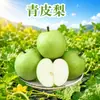 Pera crujiente de piel verde de Dangshan, Anhui, disponible para entrega 3/5/ 4.5 kg Pera Corona de Jade, fruta fresca y crujiente
