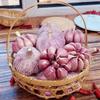 Ajo Seco 2025, Ajo Morado y Blanco, Ajo Seco de Este Año, Ajo Grande con Rico Sabor a Ajo - 2.5 kg