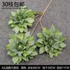 Decoración de Flores Artificiales Verdes Material de Flores de Hoja de Manzana Flor Exterior Planta Verde Hermoso Arreglo Chen Simulación de Hoja de Tortuga Arte Floral para Boda