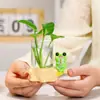 Desenho Animado Sapo Pet Fofo Pesca Pothos Vaso Hidropônico Cultura em Água Planta Recipiente para Flores Decoração de Arranjo de Flores para Sala de Estar Presente Criativo