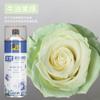 Spray de flores color floral azul hielo ramo flor seca tinte floristería especial color para pintar uno mismo material spray BD