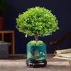 Bonsai Interior de Folha Pequena Vermelha Nan Seda Dourada Madeira Nan Velho Tronco Mudas Envasadas Flor de Escritório Mesa Pequenas Plantas Verdes Fácil de Manter em Todas as Estações