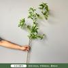 Reloj Colgante Japonés Simulado Caballo Madera Borracha Plantas Verdes en Maceta Venta al por Mayor Utilería de Fotografía Decoración de Interiores Arte Floral Único Muy Artificial