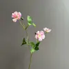Oferta especial orquídea Phalaenopsis de tallo corto flores artificiales para decoración de bodas, decoración del hogar y accesorios de fotografía